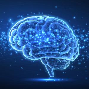 Stock drawing of a brain in blues and white